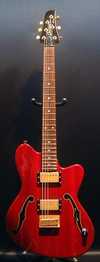 PGM900 TALMAN.jpg